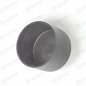 End cap black     GPN 250/51