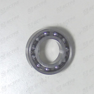 Bearing 6006 URB