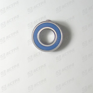 Bearing SS 6004 2RS