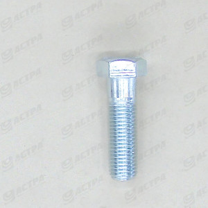 Screw SKS 20 x  70  DIN 931  8.8     gv.