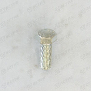 Screw SKS 24 x  70  DIN 933  8.8     gv.