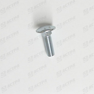 Cup square screw 12 x 40 galv.