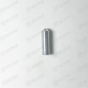 Threaded pin M 10 x 30 with point galv.