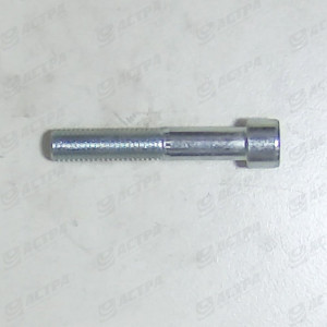 Hex.socket head screw M 12x 70  8.8 gv.