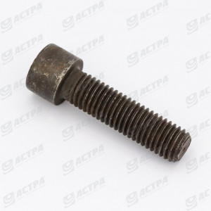 Болт M12х45 DIN912 ORIGINAL 242263.0