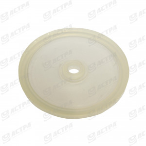 DIAPHRAGM