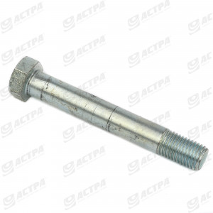 BOLT H M24x170 10.9 Z
