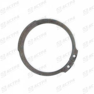 CIRCLIPS EXT. pour Arbre 50