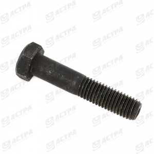 Болт H M12x 60х1,75 8.8 NOIRE DIN931