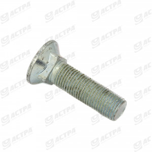 Болт TFCC M12x45 10.9 крок 1,25