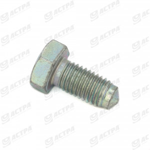 Болт (гвинт)  M14*30*2 пр10.9 DIN564 кріпленя стойки Gregoirec Besson