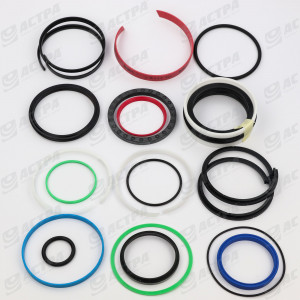 SEAL KIT for ram 110x70x300