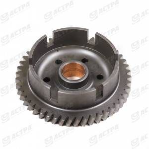 PINION