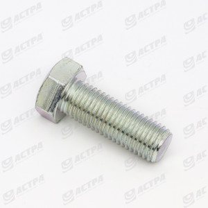 Screw SKS 20 x  55  DIN 933  8.8     gv.