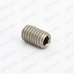 Шуруп M6x10 A2 D.916