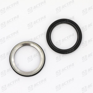 Slide ring seal D30  NBR 1
