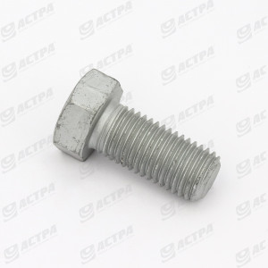 Screw SKS 16 x  35  DIN933 10.9 GEOM321A
