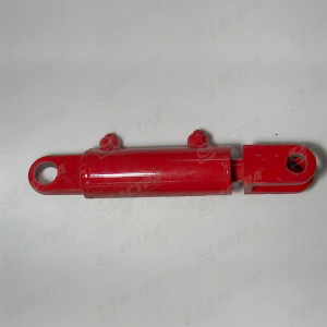 Hyd.Zyl. DZ  50-30-  80