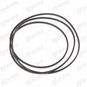 Пас HC 6925 Harvest Belts 644368.0 644368.1