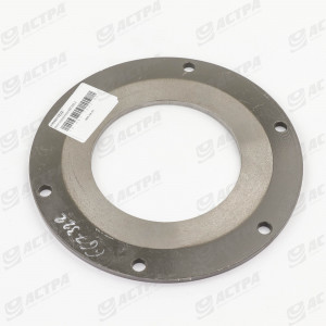 CLUTCH PLATE