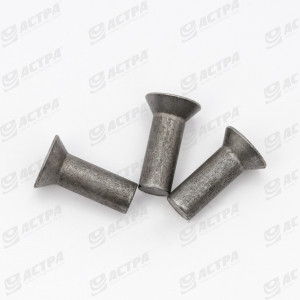 Заклепка 6х17 DIN661 ORIGINAL 237663.0