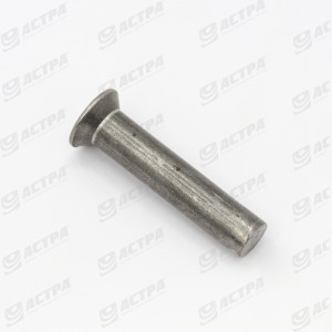 Rivet