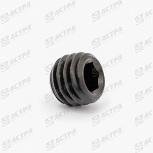 Болт стопорний M10x8 DIN916  0005003092 236552.0