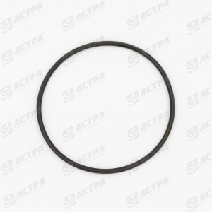 Кільце 63х2.5 N ORIGINAL 056874.0