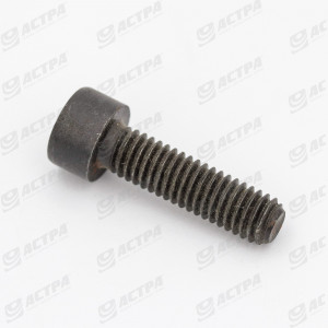 Болт M6x22 DIN912 ORIGINAL 238352.0