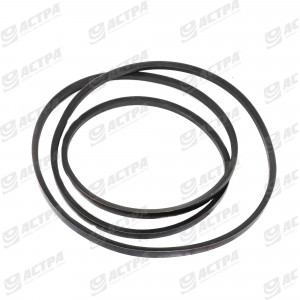 Пас HC 4470 ALPHABELTS 061872.0