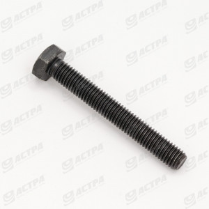 Hexagon bolt M10x75 10.9 211561.0