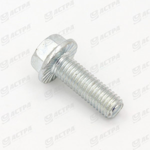 Болт М10X25 М10X30 DIN6921  8,8 214850.0