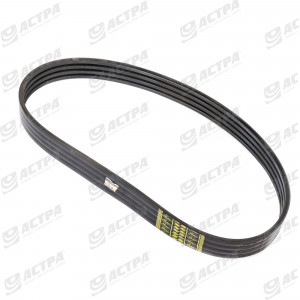 POWER BAND BELT