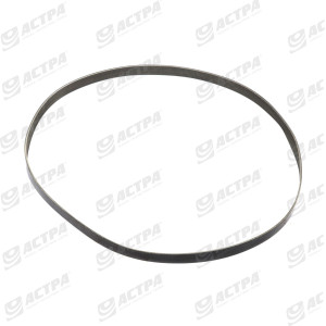 V-RIBBED BELT