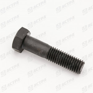 M14x60 hexagon bolt 10.9 242462.0