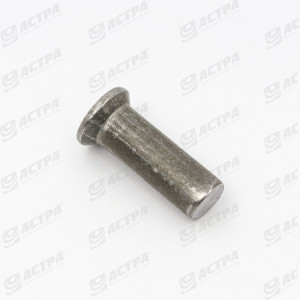 Rivet