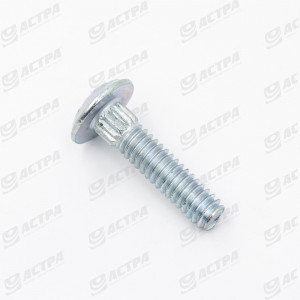 Болт сегмента M6x25