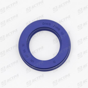 LIP SEAL