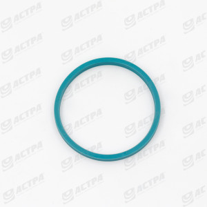 DUALSEAL-RING