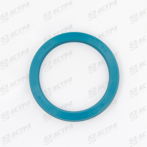 LIP SEAL