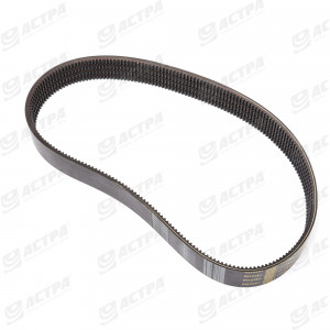 POWER BAND BELT