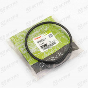 O-RING