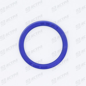 LIP SEAL