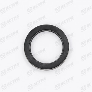 GUIDE RING