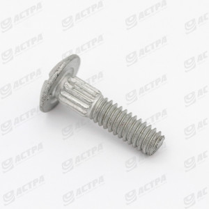 Болт сегмента M6*25*1.25 пр10.9