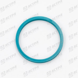 DUALSEAL-RING