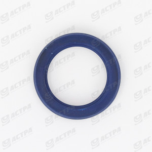 SEAL RING