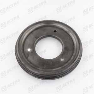 Кільце обертаєме нижнього вала похилої камери AGRI PARTS 650701.0