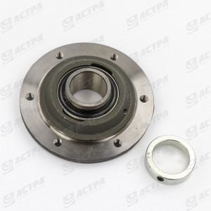 BEARING UNIT