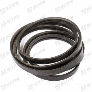 POWER BAND BELT